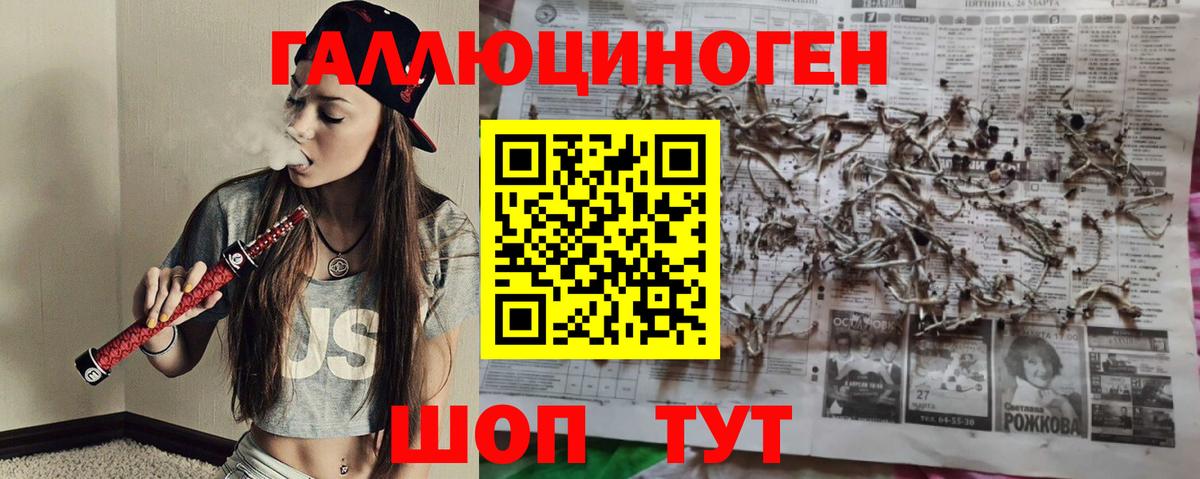 Псилоцибиновые грибы Psilocybe Нефтекамск