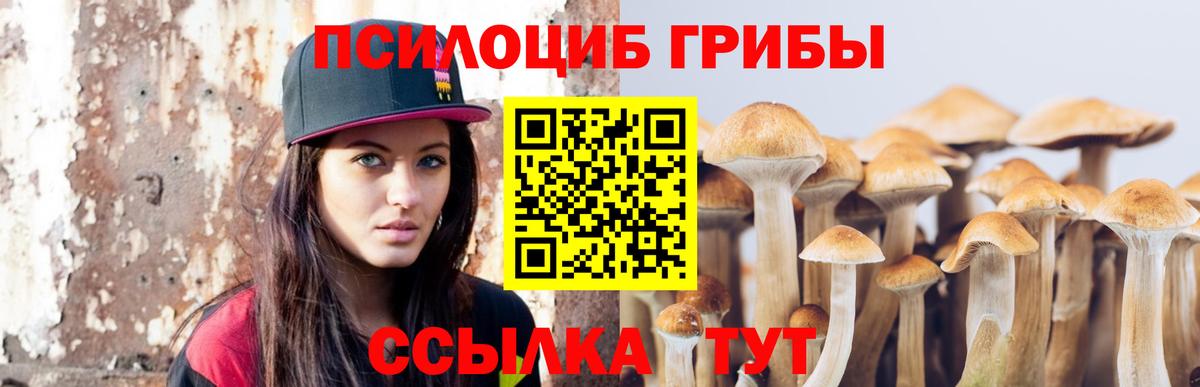 Псилоцибиновые грибы мицелий  Вход с VPN  Нефтекамск 